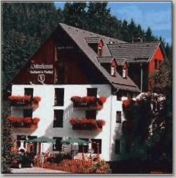 Landhotel Osterlamm Beierfeld Exterior foto